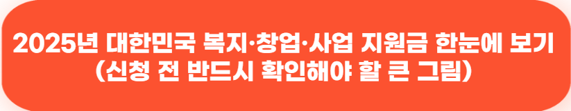 2025년 청년·여성·한부모를 위한 맞춤 지원금 총정리 155 2025년 대한민국 복지·창업·사업 지원금 한눈에 보기 신청 전 반드시 확인해야 할 큰 그림
