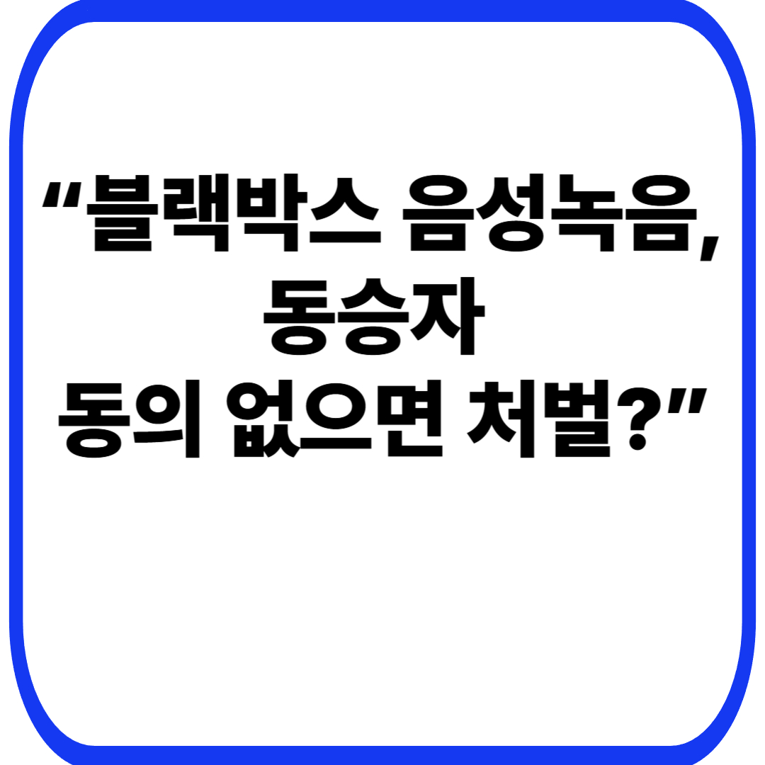 “블랙박스 음성녹음, 동승자 동의 없으면 처벌_”