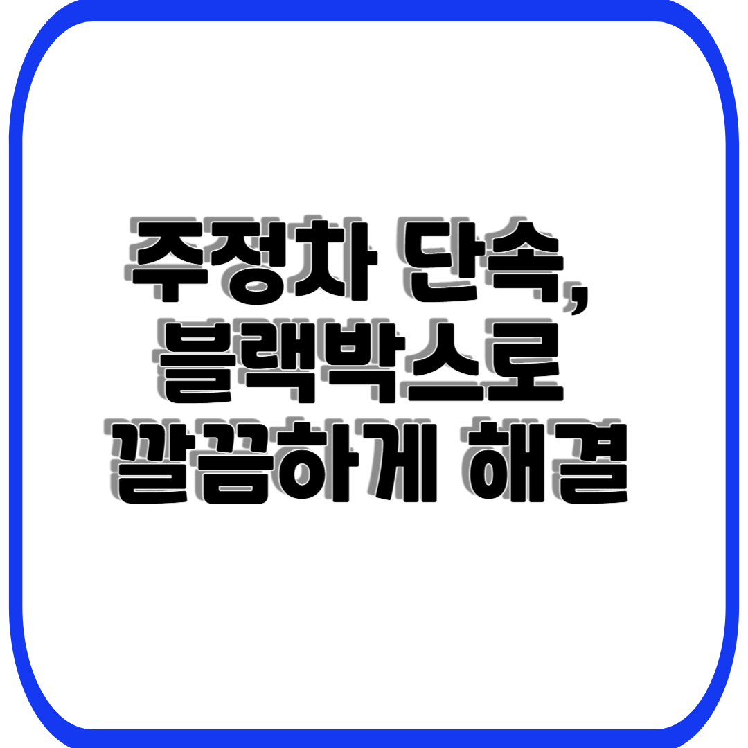 주정차 단속, 블랙박스로 깔끔하게 해결
