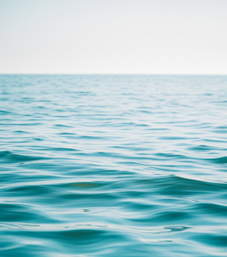 FAQ: 겨울 바다 입수, 이것이 궁금하다!