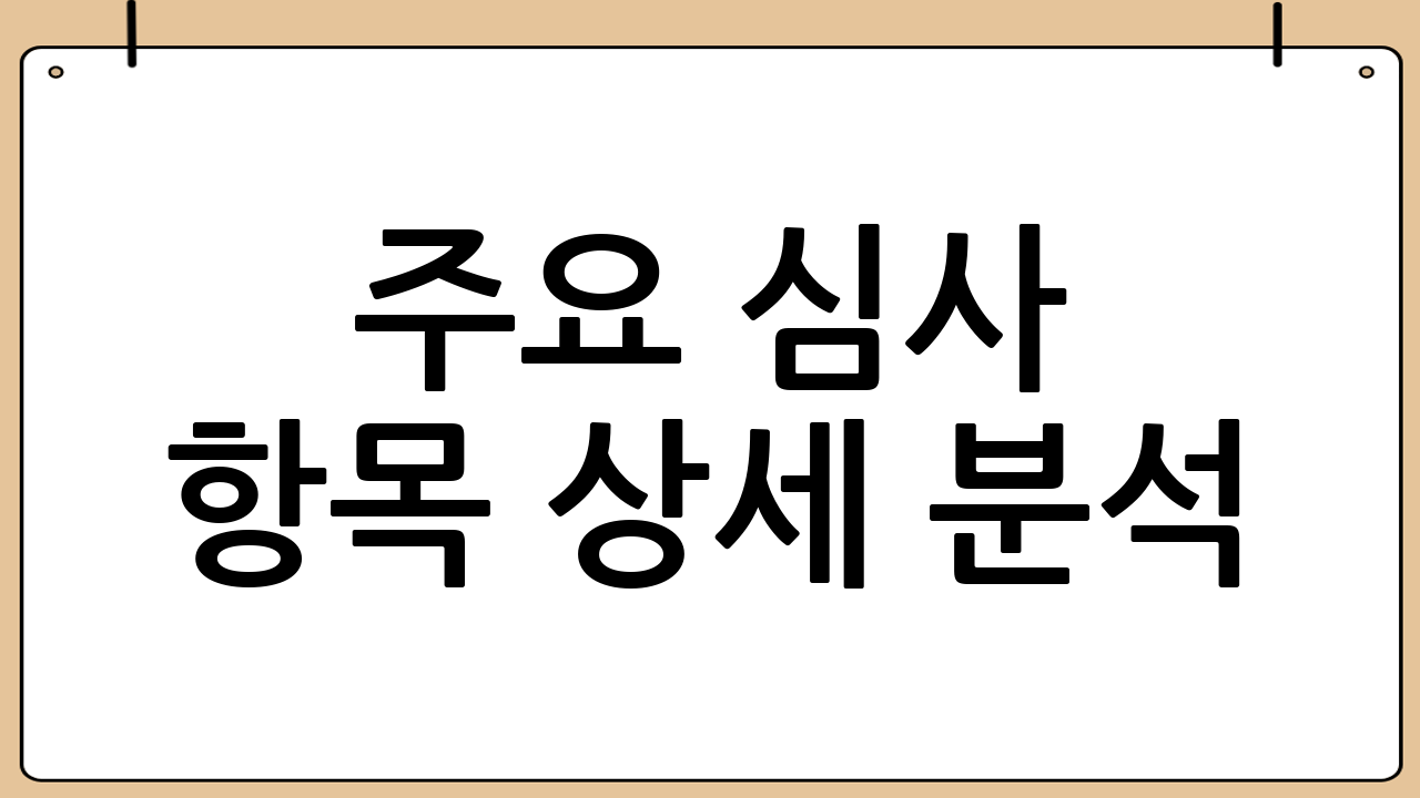 주요 심사 항목 상세 분석