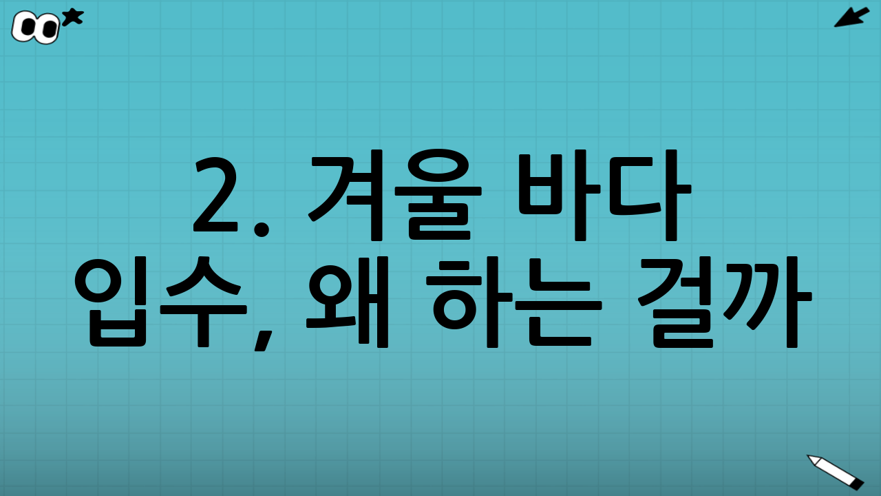 2. 겨울 바다 입수, 왜 하는 걸까? (매력과 효과)