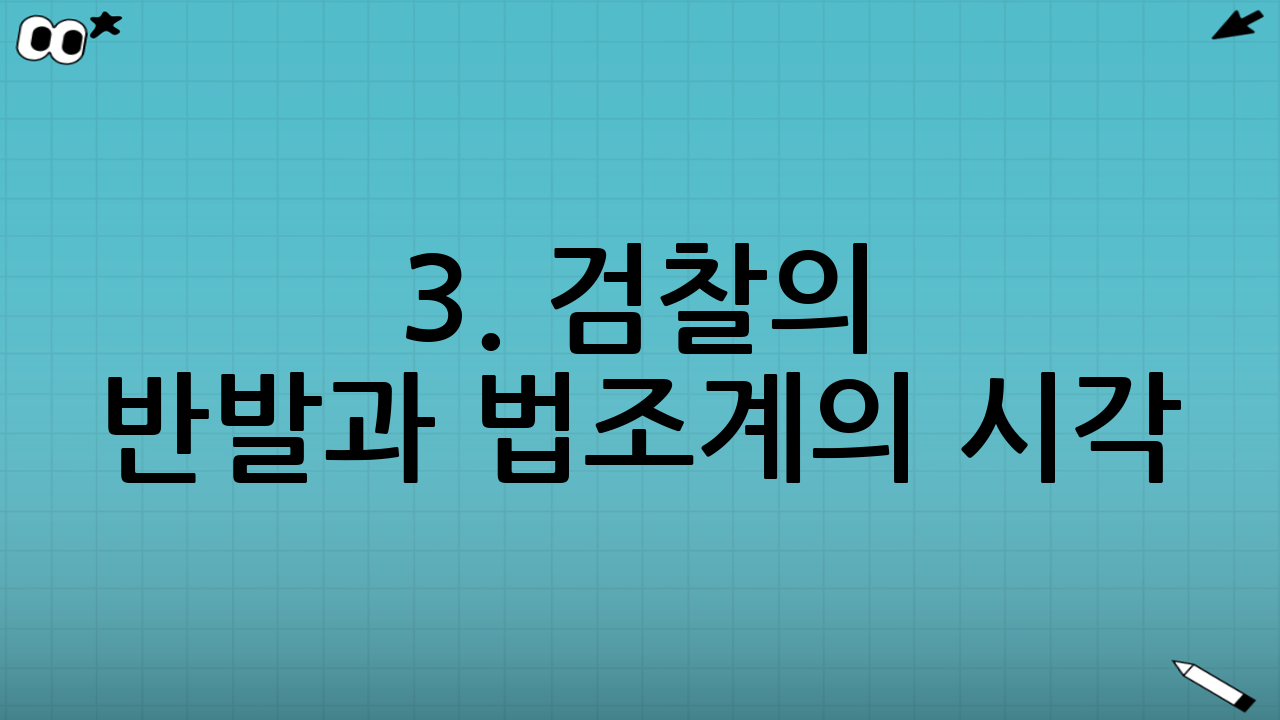 3. 검찰의 반발과 법조계의 시각