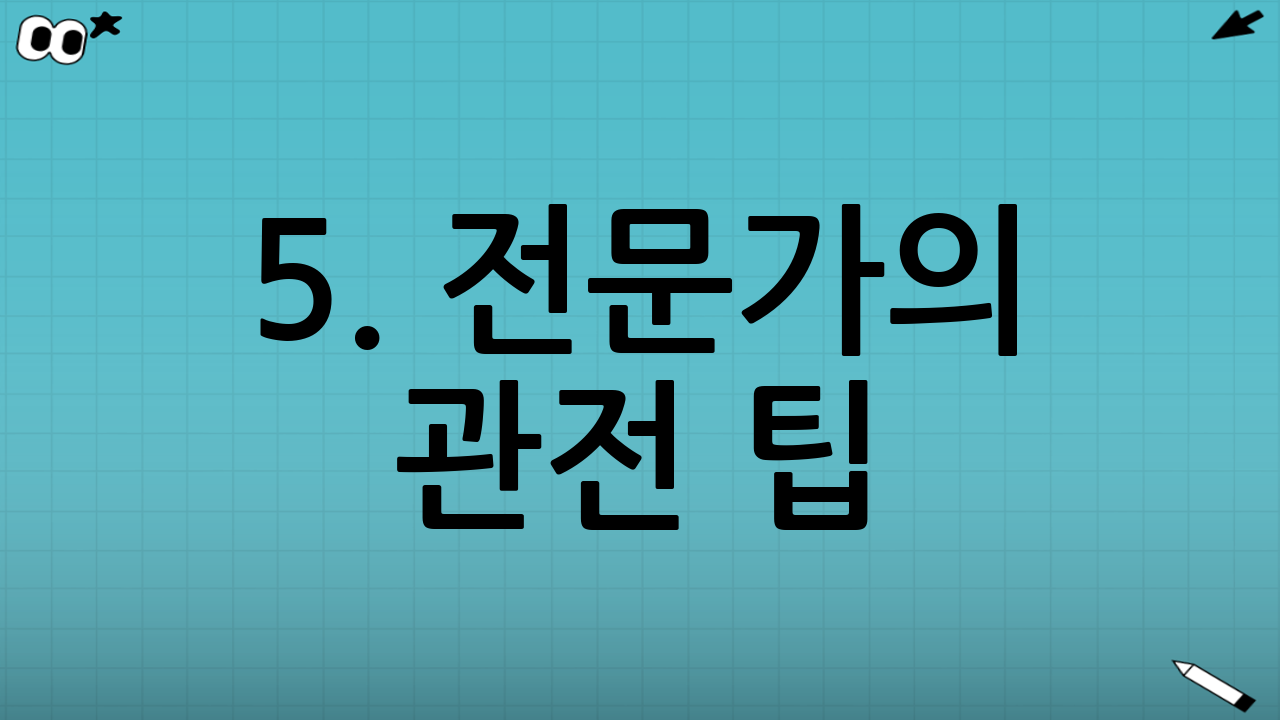 5. 전문가의 관전 팁 (Pro Tips)