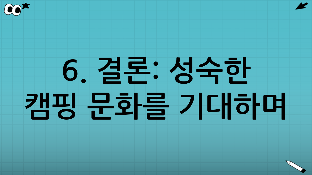 6. 결론: 성숙한 캠핑 문화를 기대하며
