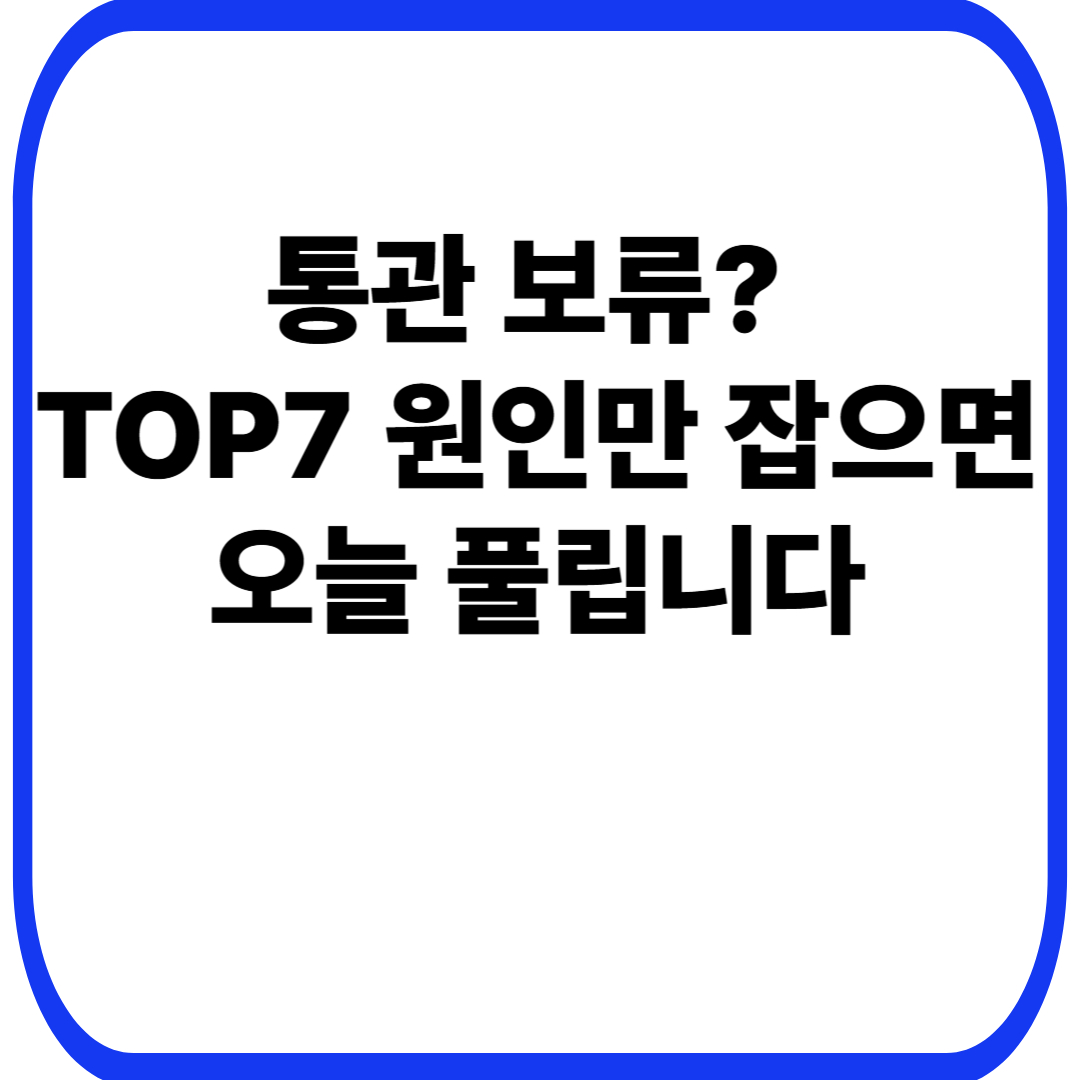 통관 보류? TOP7 원인만 잡으면 오늘 풀립니다