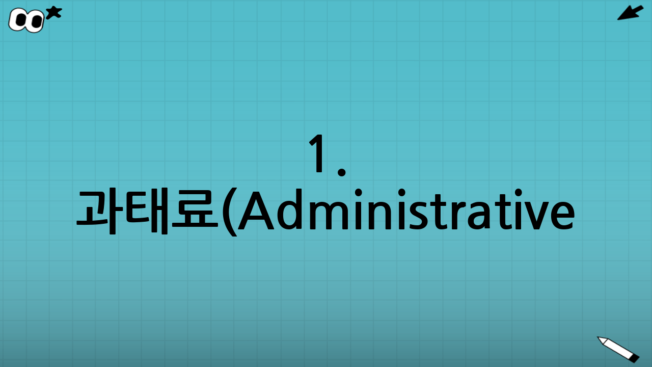1. 과태료(Administrative Fine): 차량 소유주에게 부과되는 금전적 징계