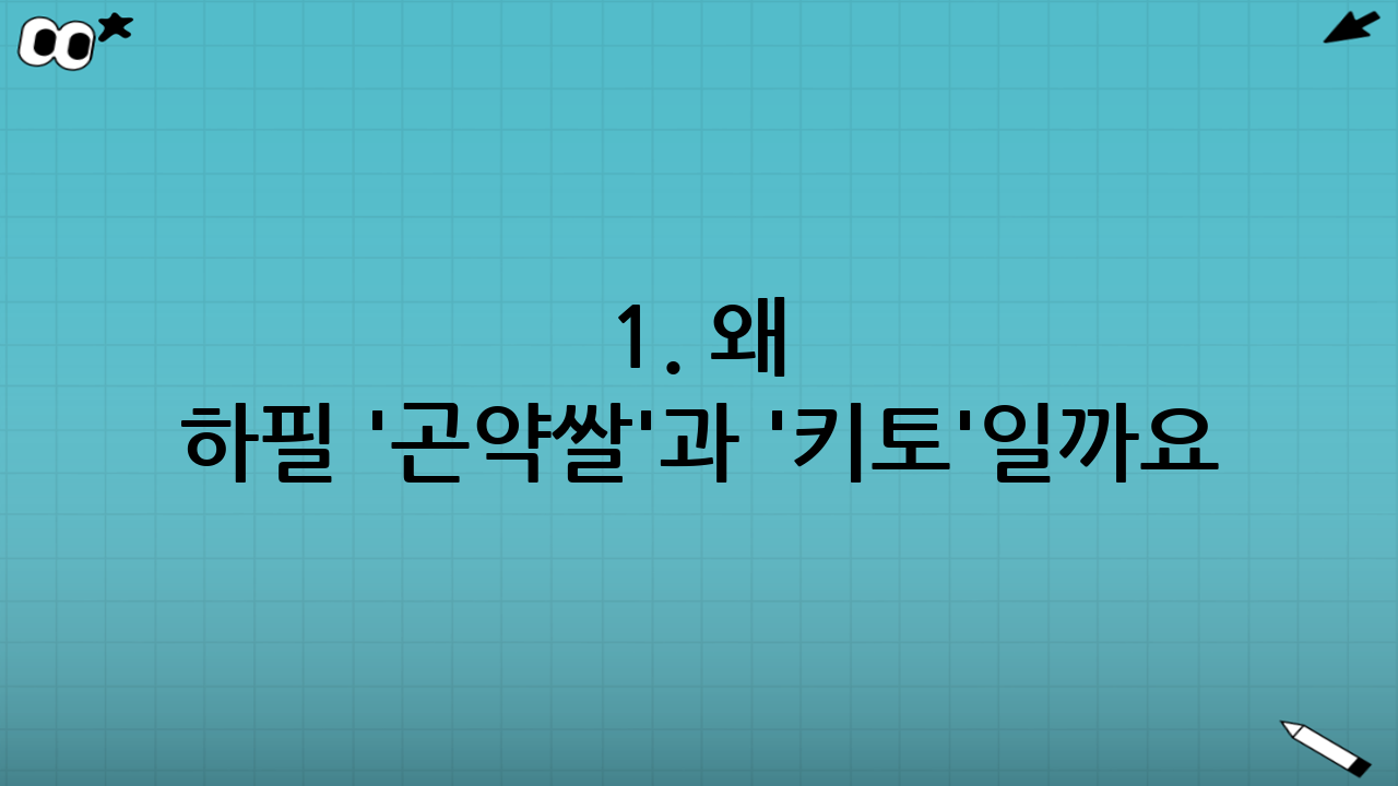 1. 왜 하필 '곤약쌀'과 '키토'일까요?