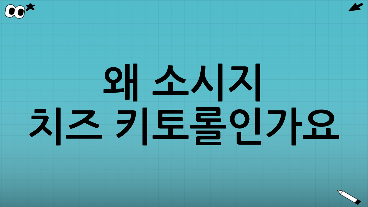 왜 소시지 치즈 키토롤인가요?