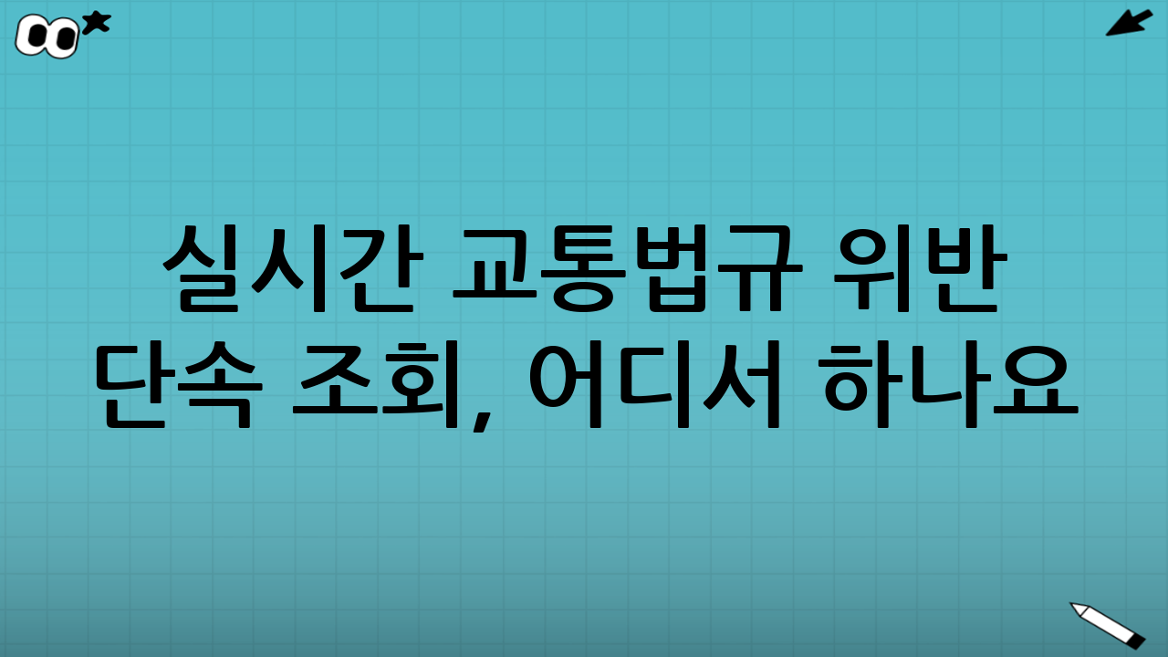 실시간 교통법규 위반 단속 조회, 어디서 하나요?