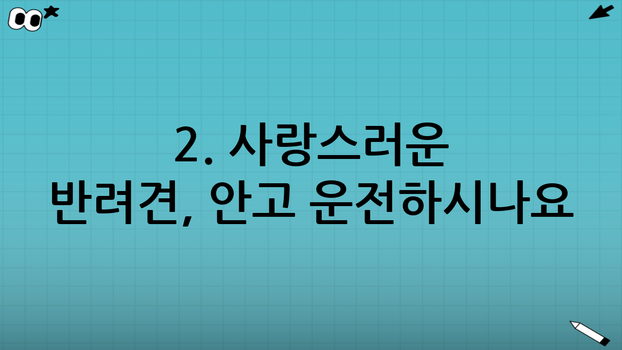 2. 사랑스러운 반려견, 안고 운전하시나요?