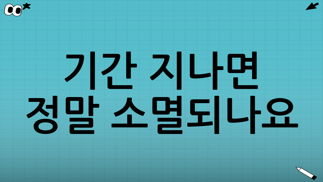 기간 지나면 정말 소멸되나요?