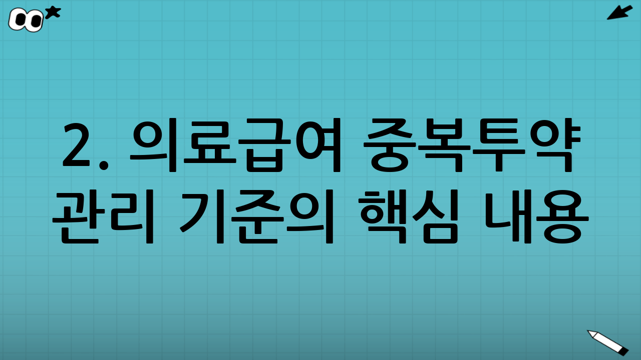 2. 의료급여 중복투약 관리 기준의 핵심 내용