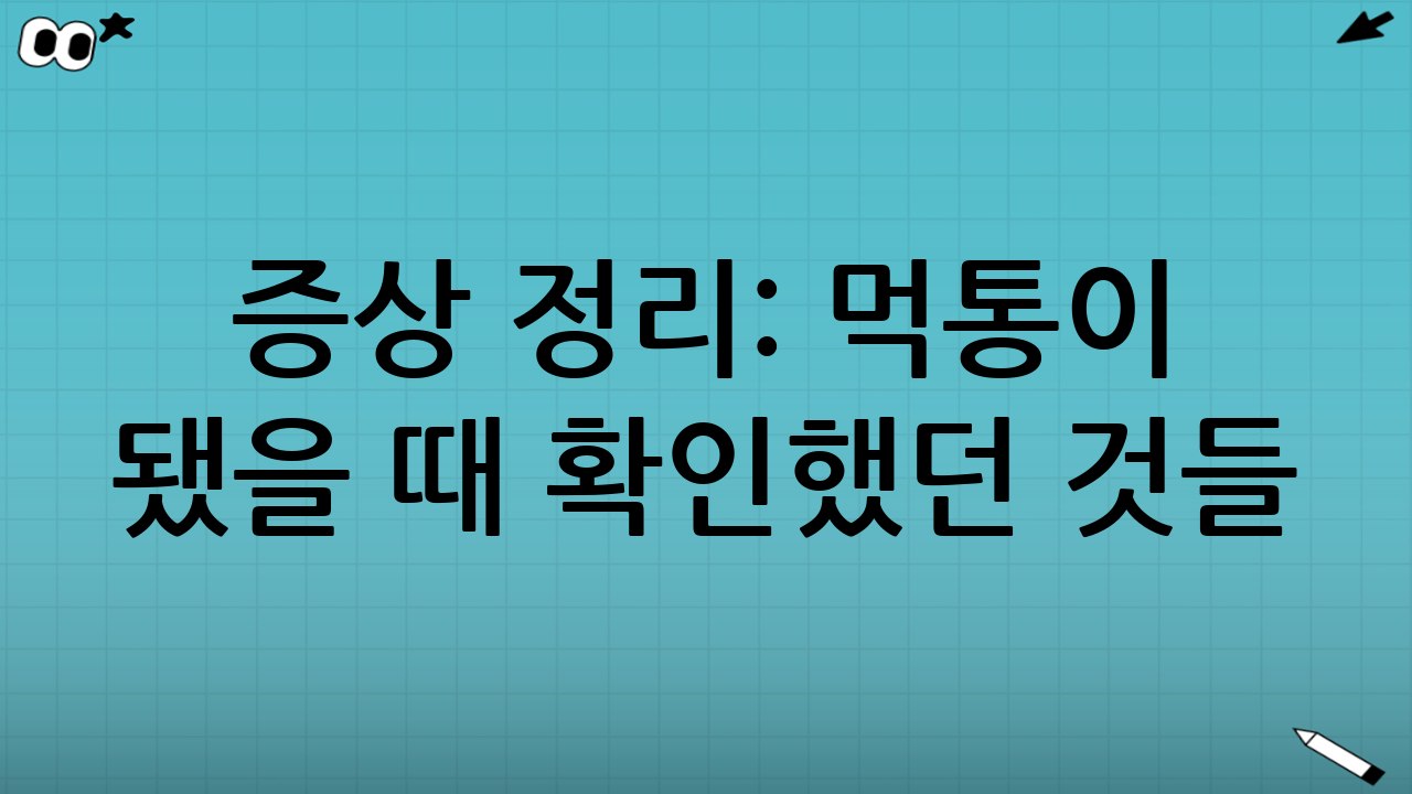 증상 정리: 먹통이 됐을 때 확인했던 것들