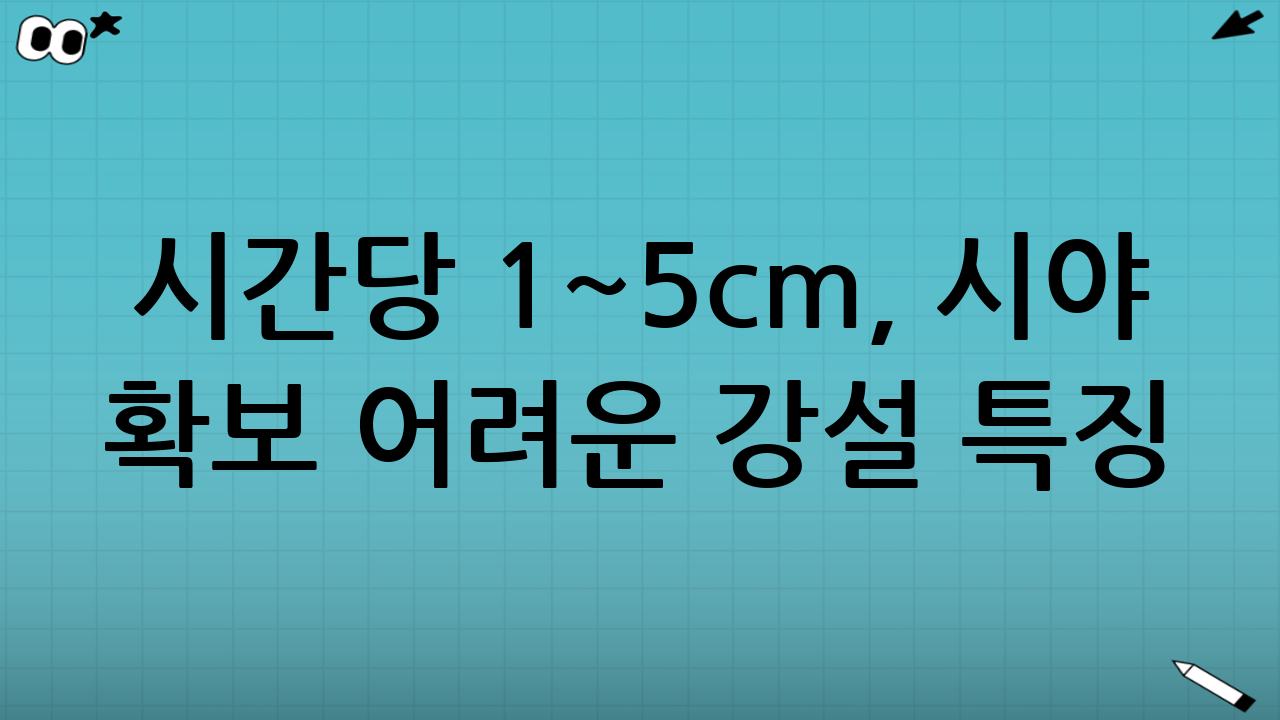 시간당 1~5cm, 시야 확보 어려운 강설 특징