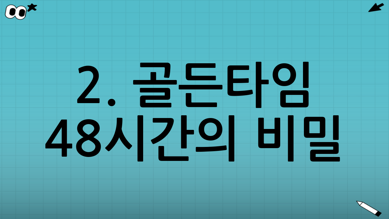 2. 골든타임 48시간의 비밀: 글리코겐을 태워라
