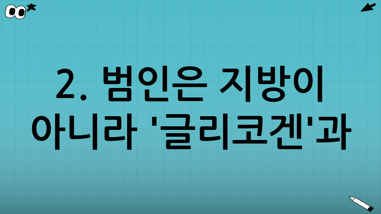 2. 범인은 지방이 아니라 '글리코겐'과 '수분'입니다