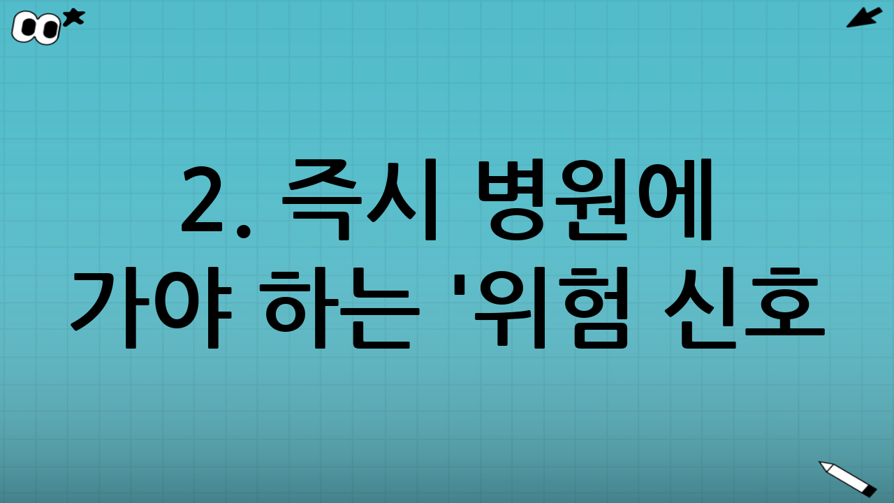 2. 즉시 병원에 가야 하는 '위험 신호(Red Flags)'