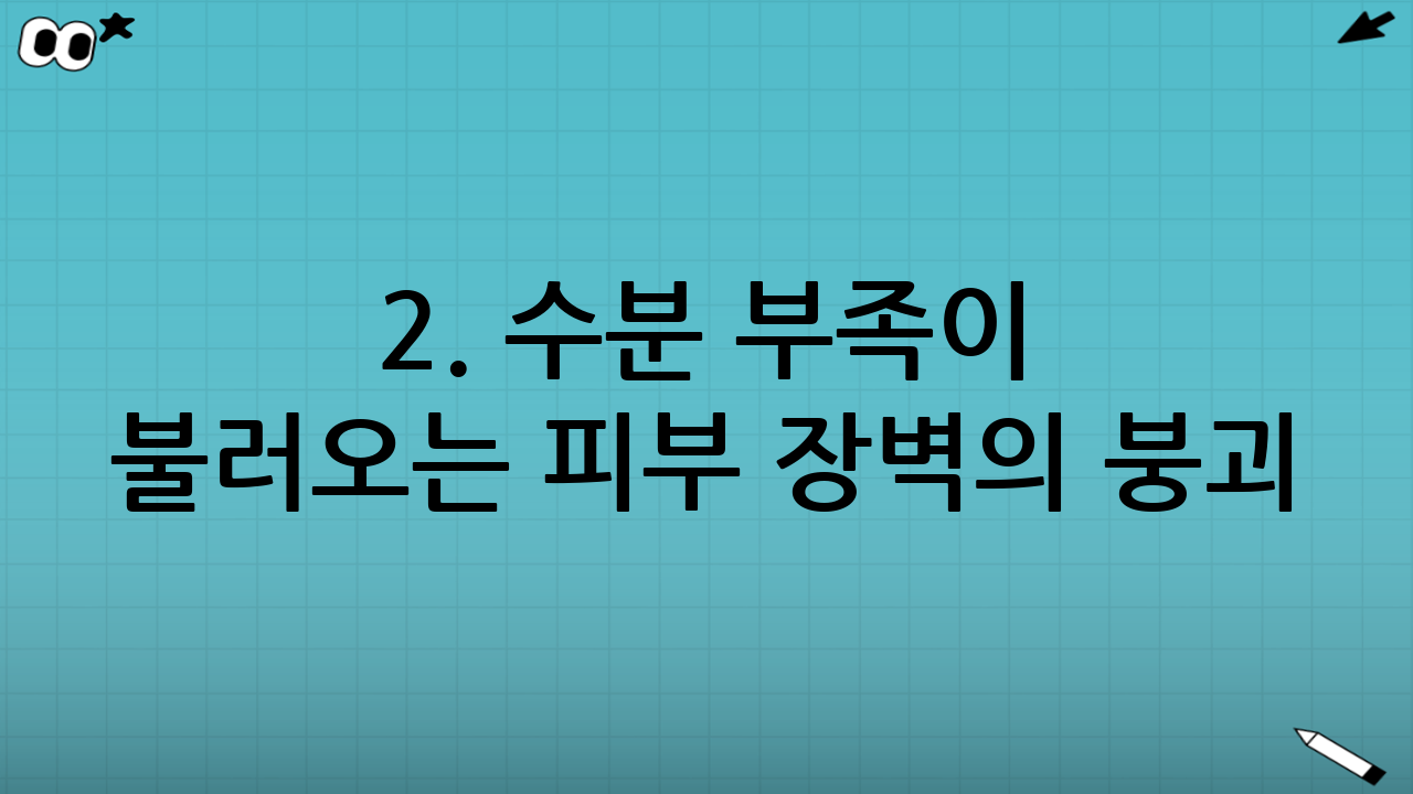 2. 수분 부족이 불러오는 피부 장벽의 붕괴