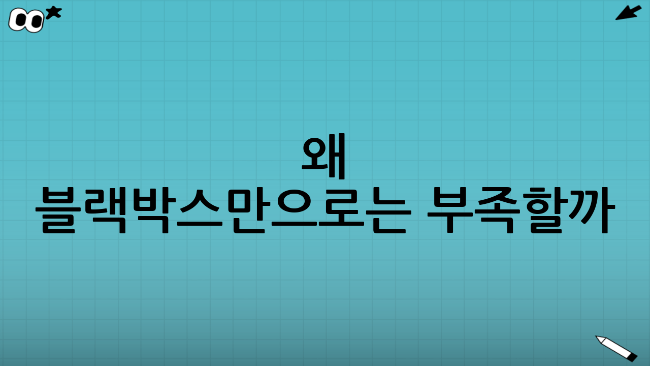 왜 ‘블랙박스만’으로는 부족할까?