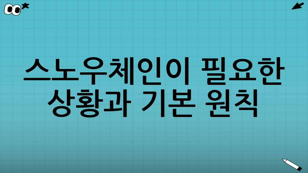 스노우체인이 필요한 상황과 기본 원칙