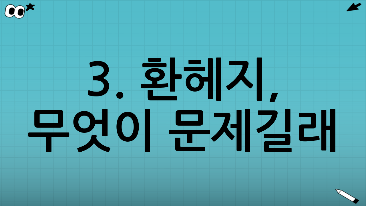 3. 환헤지, 무엇이 문제길래?