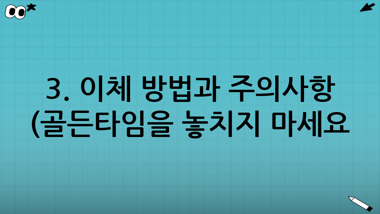 3. 이체 방법과 주의사항 (골든타임을 놓치지 마세요!)