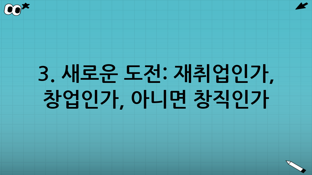3. 새로운 도전: 재취업인가, 창업인가, 아니면 창직인가?
