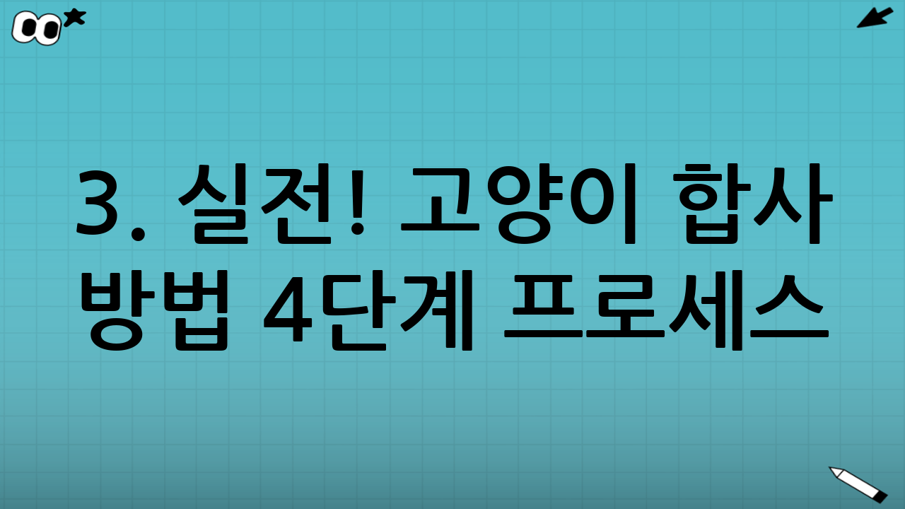 3. 실전! 고양이 합사 방법 4단계 프로세스