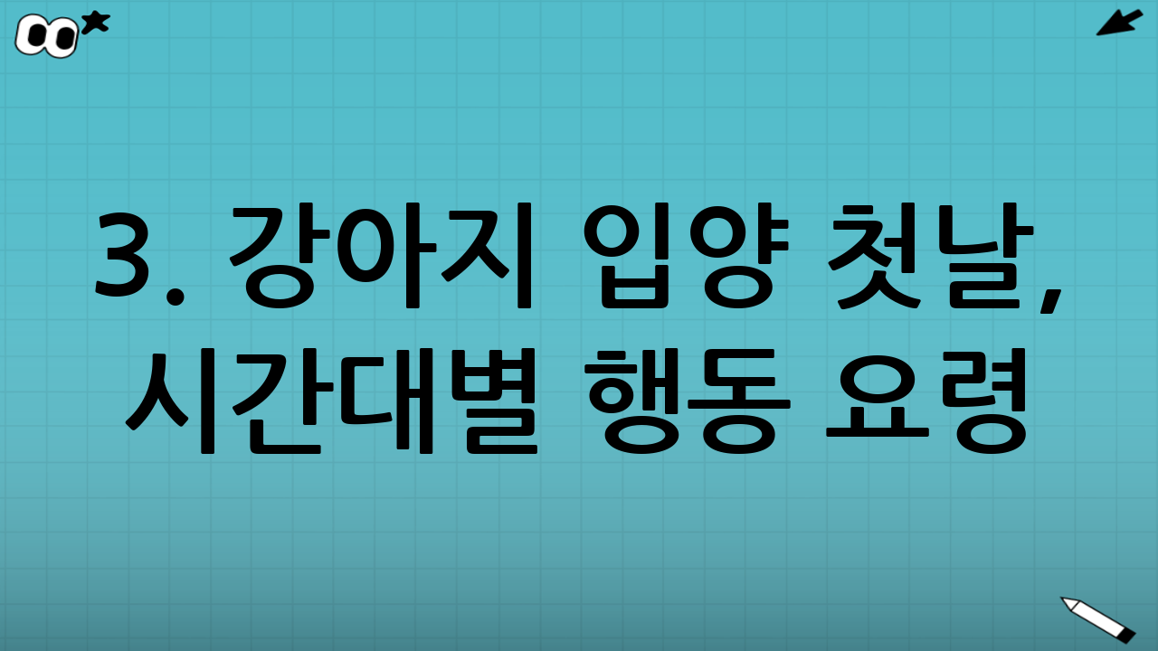 3. 강아지 입양 첫날, 시간대별 행동 요령