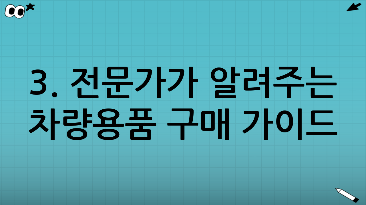 3. 전문가가 알려주는 차량용품 구매 가이드 (TIP)