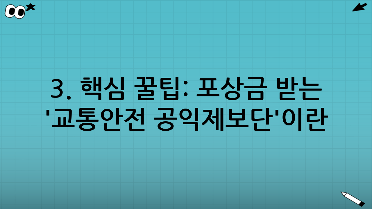 3. 핵심 꿀팁: 포상금 받는 '교통안전 공익제보단'이란?
