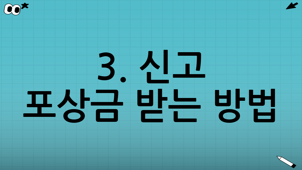 3. 신고 포상금 받는 방법: 진실과 오해