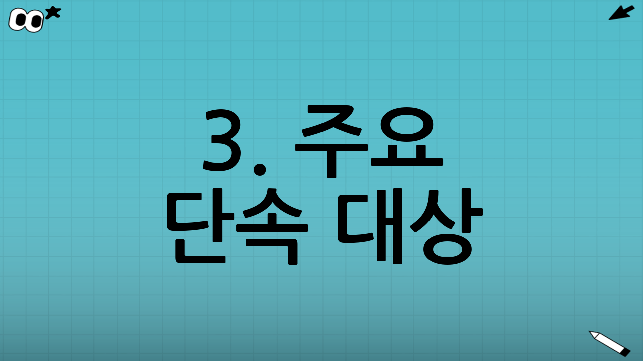 3. 주요 단속 대상: 무엇을 잡나요?