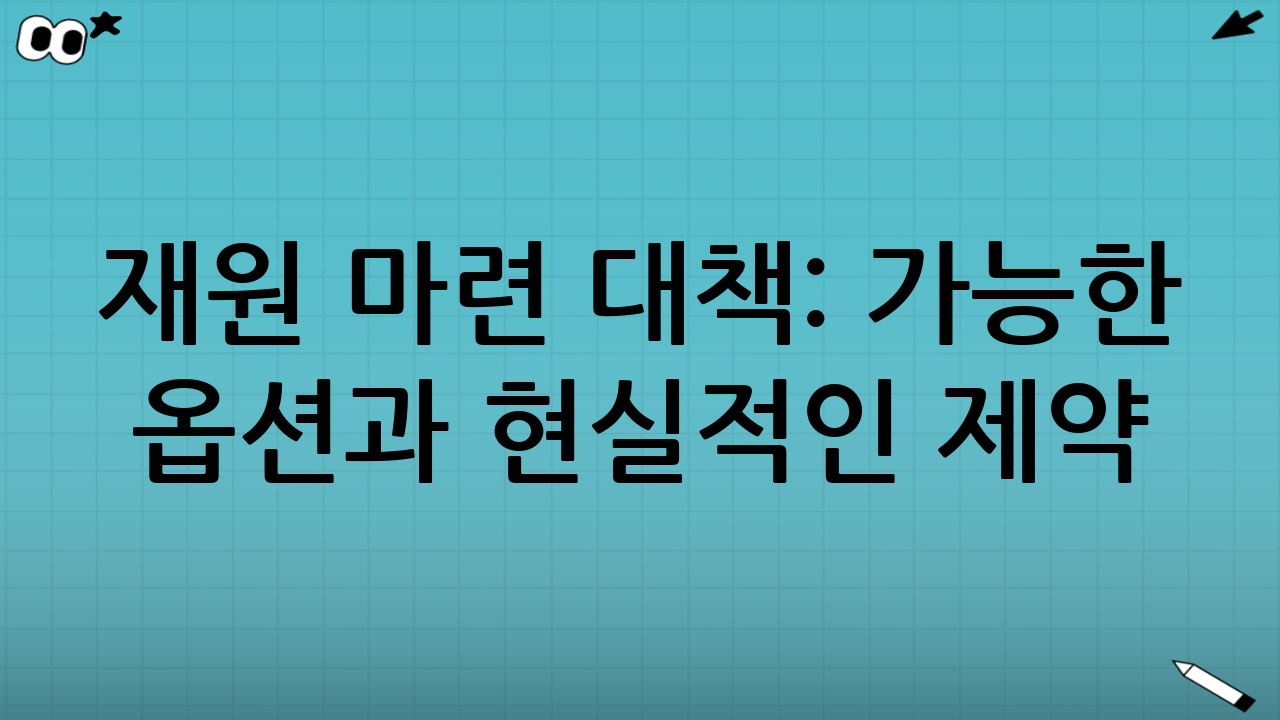 재원 마련 대책: 가능한 옵션과 현실적인 제약