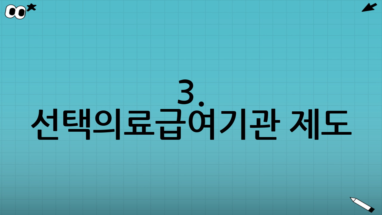 3. 선택의료급여기관 제도 (조건부 연장승인)