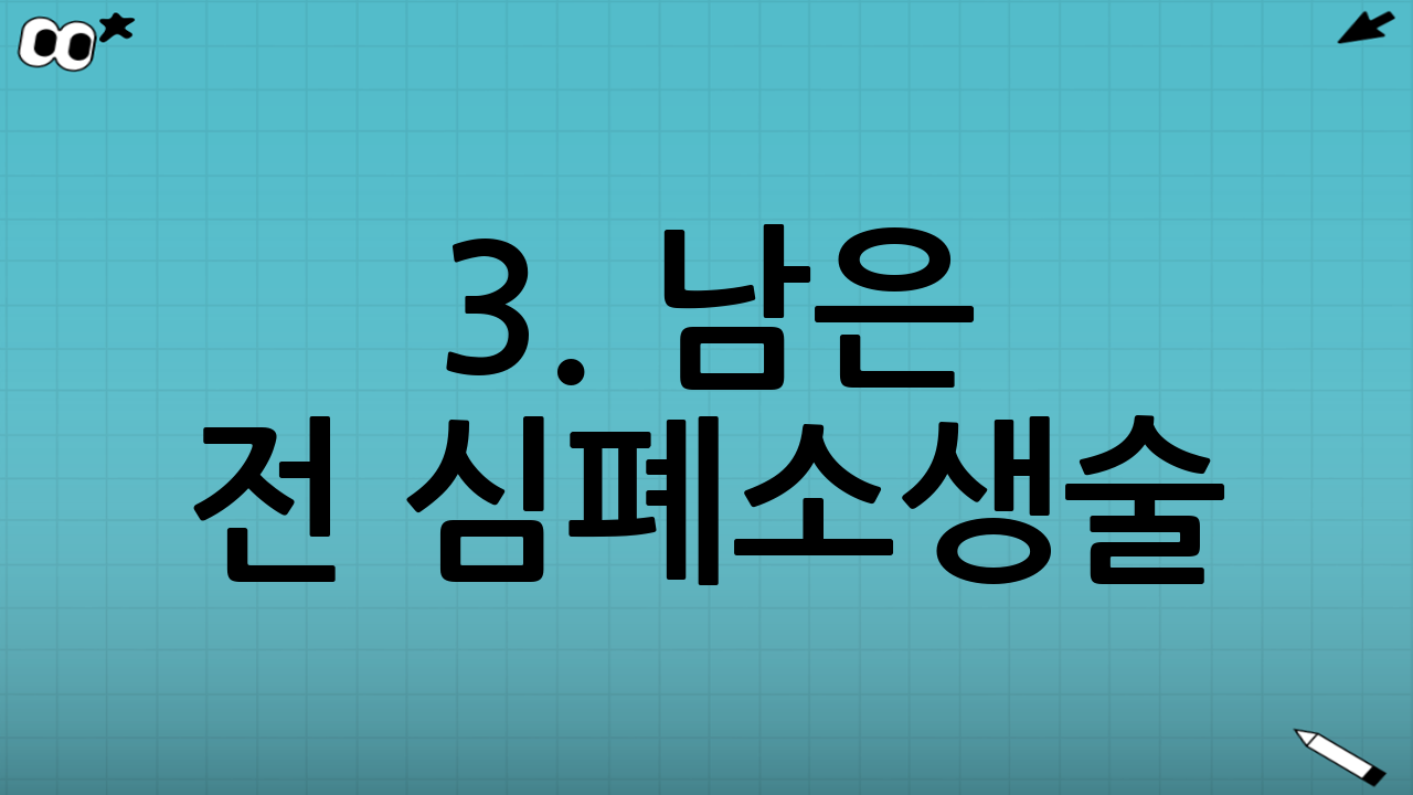 3. 남은 전 심폐소생술: 조리 과정 Step-by-Step