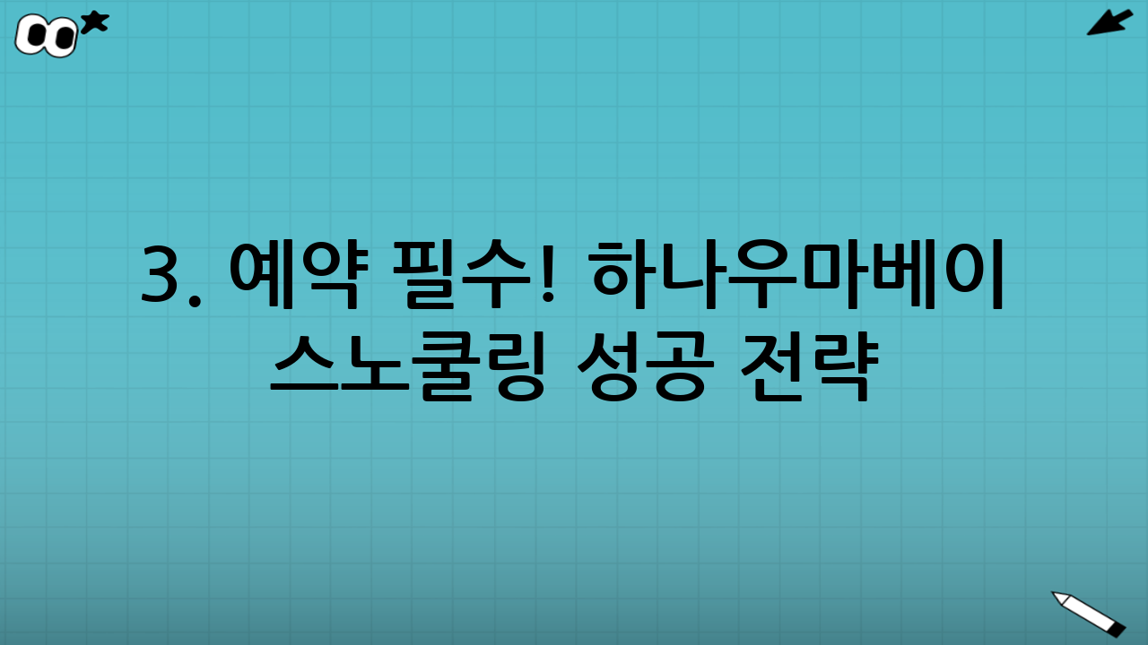 3. 예약 필수! 하나우마베이 스노쿨링 성공 전략