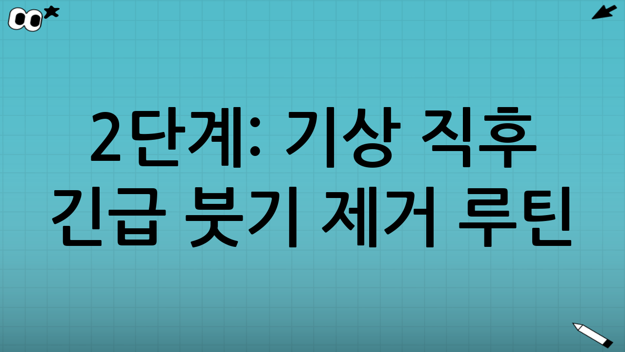 2단계: 기상 직후 긴급 붓기 제거 루틴 (핵심)