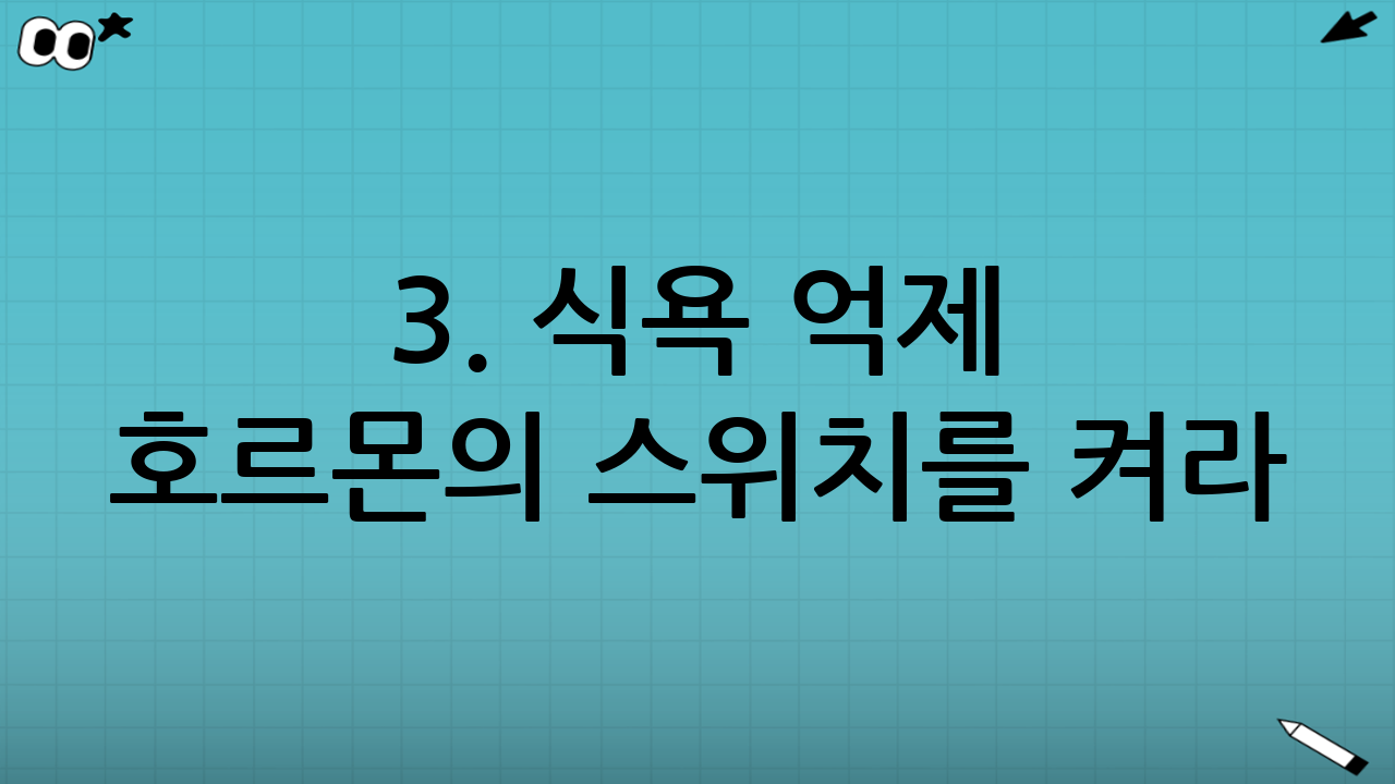 3. 식욕 억제 호르몬의 스위치를 켜라