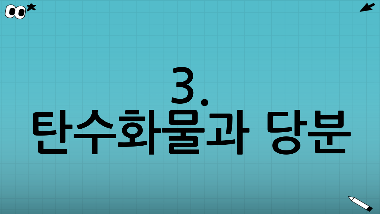 3. 탄수화물과 당분: 염증의 기폭제