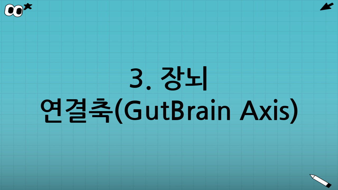 3. 장-뇌 연결축(Gut-Brain Axis): 장이 보내는 우울 신호