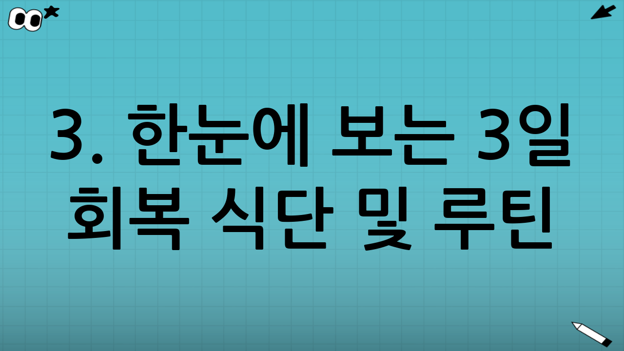 3. 한눈에 보는 3일 회복 식단 및 루틴 (표로 정리)
