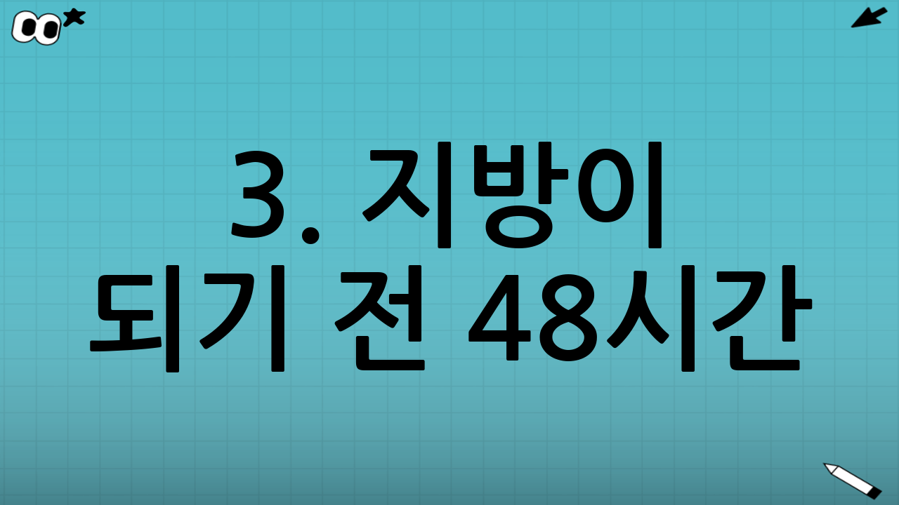 3. 지방이 되기 전 48시간! '골든타임' 대처 전략