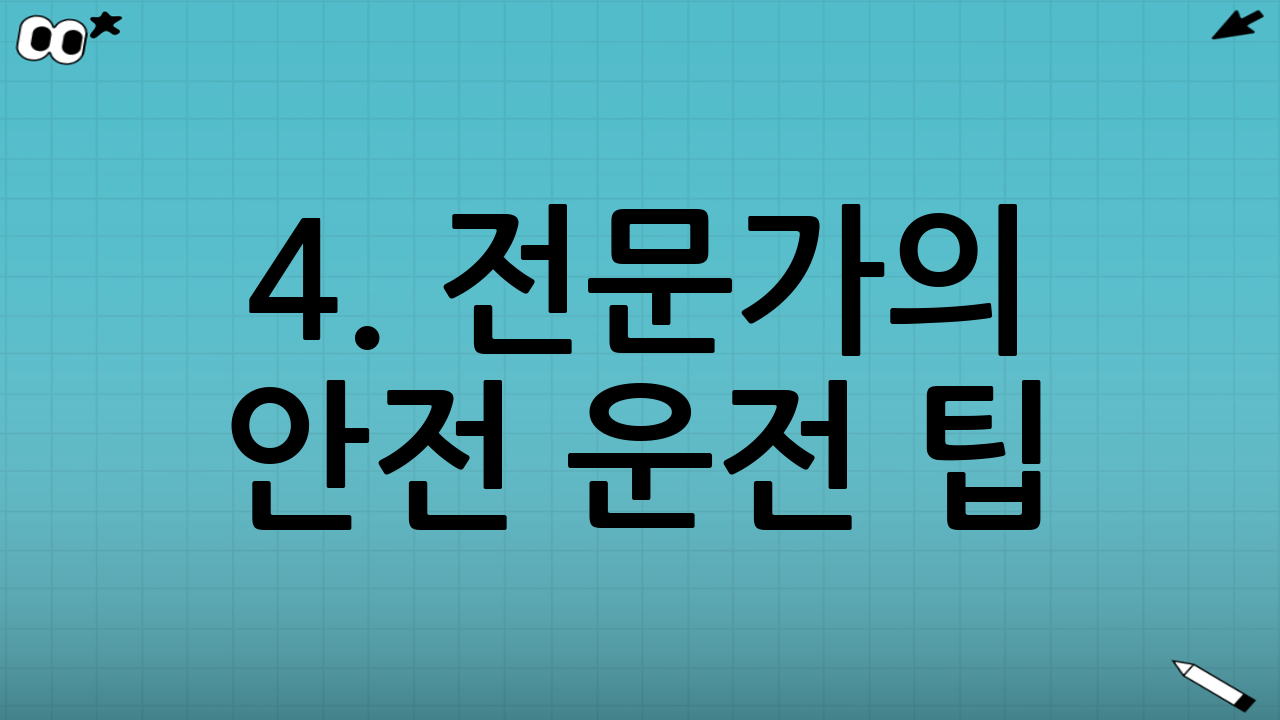 4. 전문가의 안전 운전 팁 (Pro Tip)