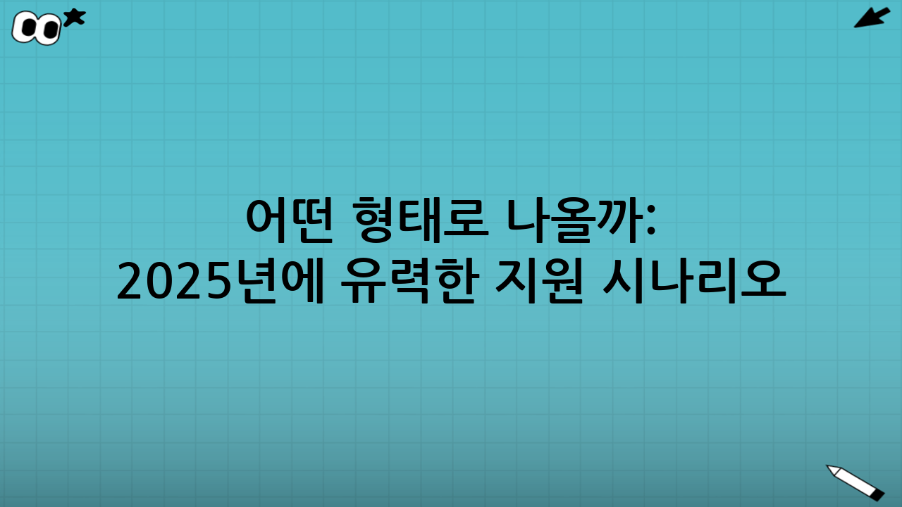 어떤 형태로 나올까: 2025년에 유력한 지원 시나리오