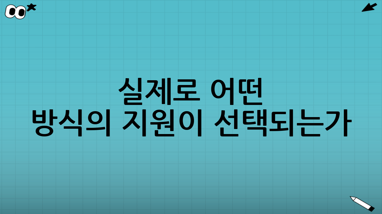 실제로 어떤 방식의 지원이 선택되는가