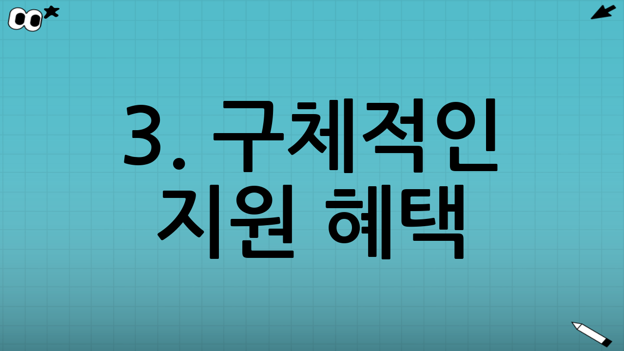3. 구체적인 지원 혜택 (본인부담금 면제 등)