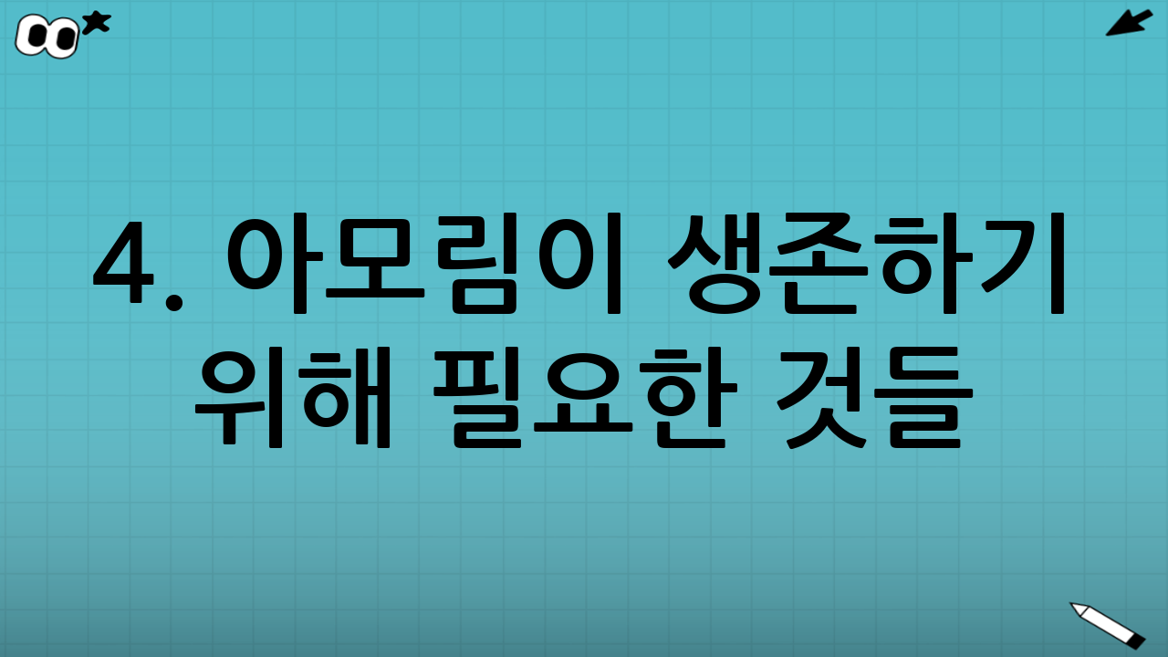 4. 아모림이 생존하기 위해 필요한 것들