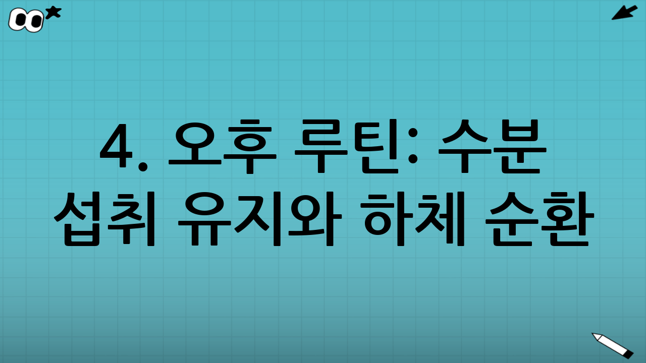 4. 오후 루틴: 수분 섭취 유지와 하체 순환